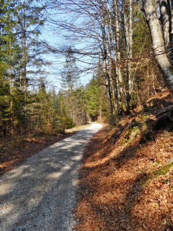 Procházka podzimní cestou.