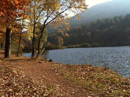 Krásný podzim u vody.