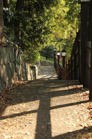 Spousta cest je na podzim zvláštních a mystických.