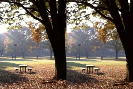 Vychutnat si správně podzim jde  všude v přírodě. 
