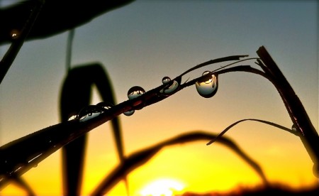 Na podzim často prší. Vychutnejte si sluneční svit co nejdéle.